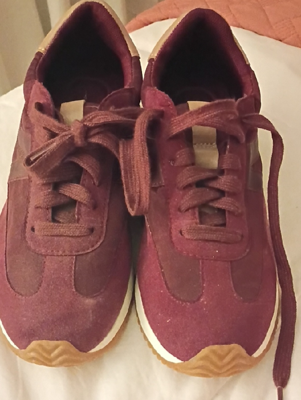 Paolo Burgundy and Tan Suede Sneakers